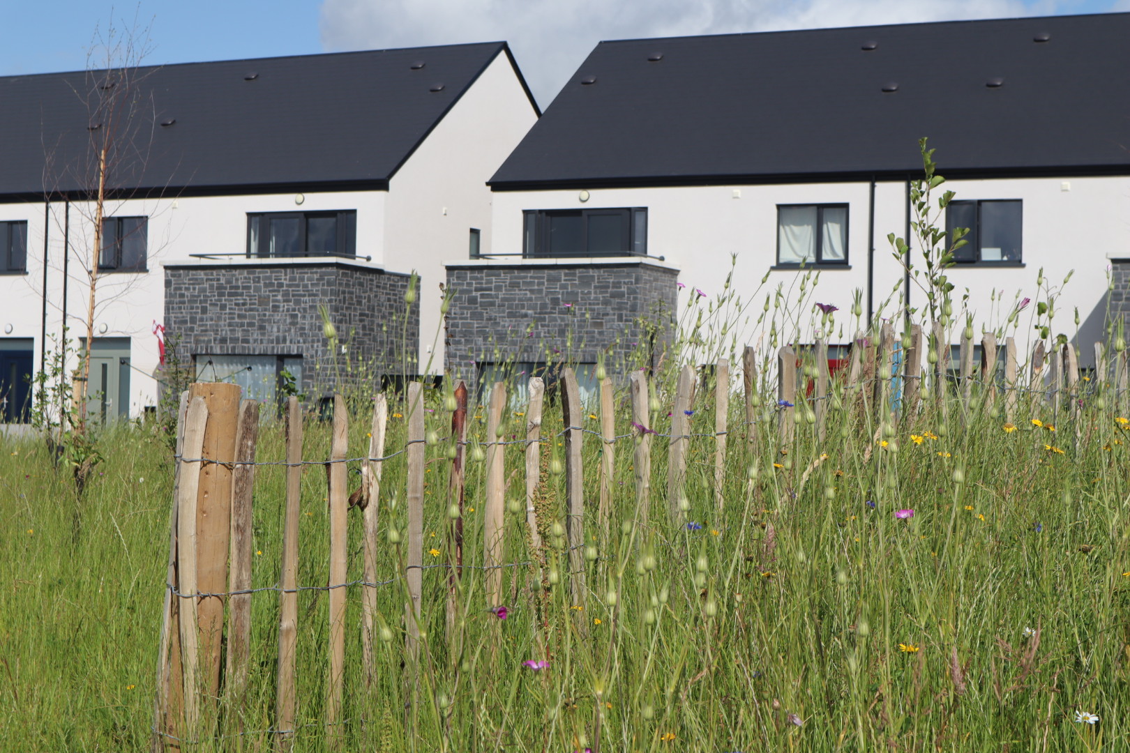 Garraí Glas, Co. Galway