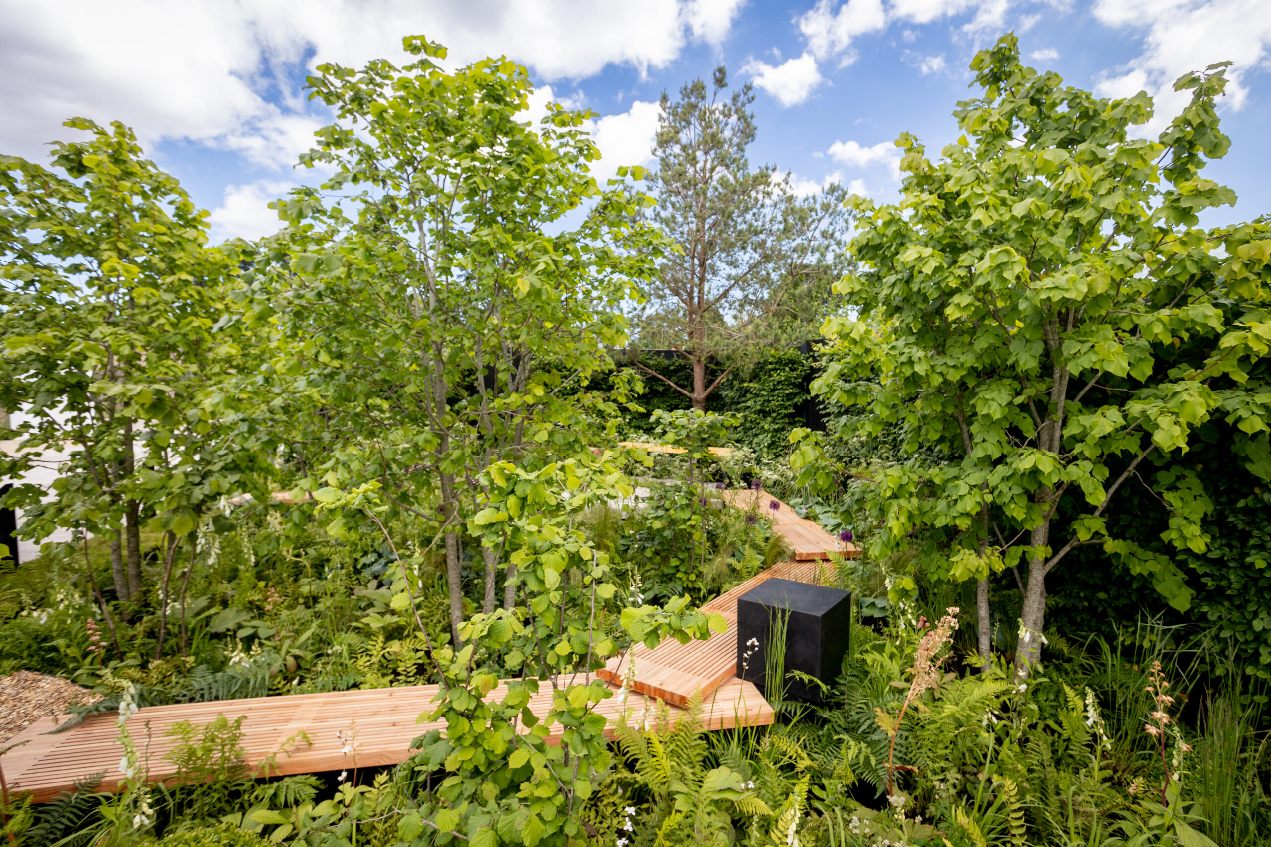 Pathways to Home – Show Garden